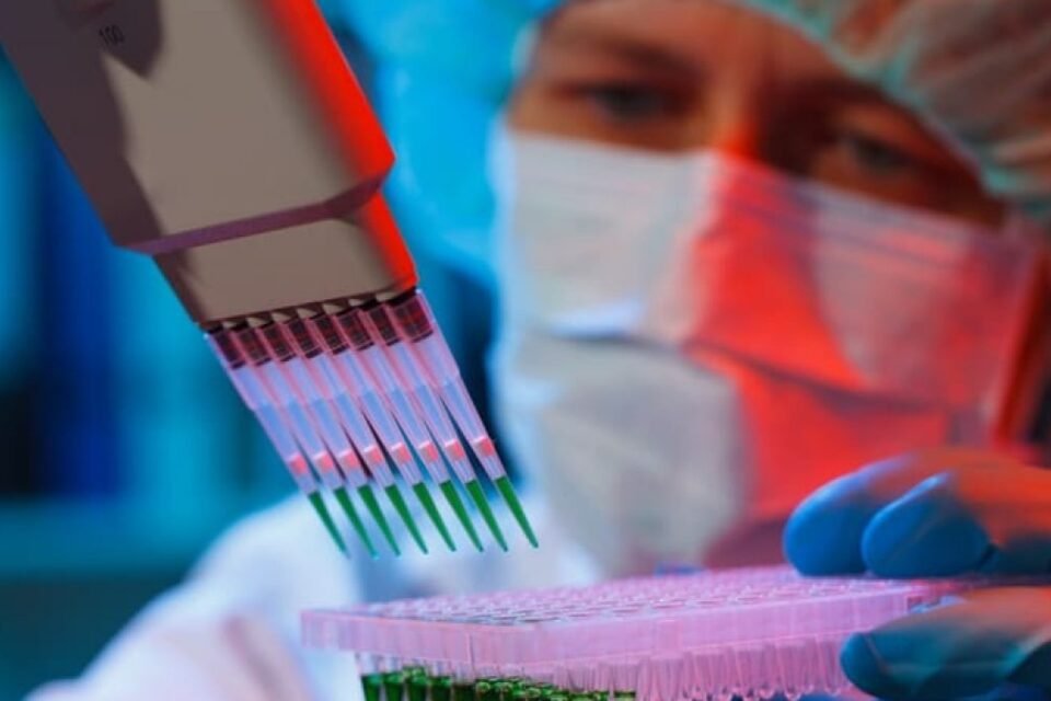 Descubren un nuevo mecanismo para la regeneración de tejidos 