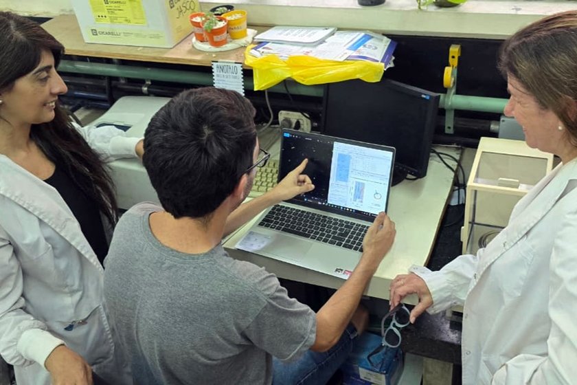 Descubren un reloj biológico en bacteria multirresistente 