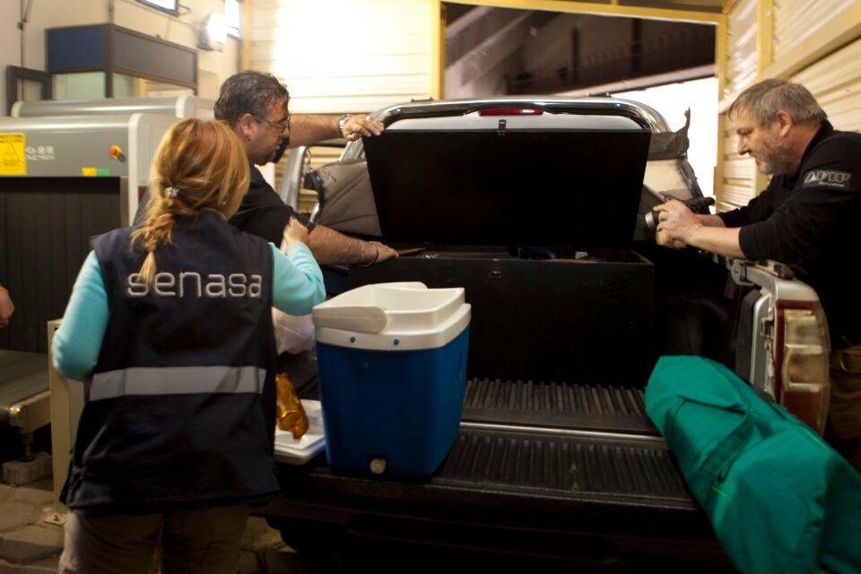 Hoy 19 de diciembre, Día del Trabajador de SENASA   