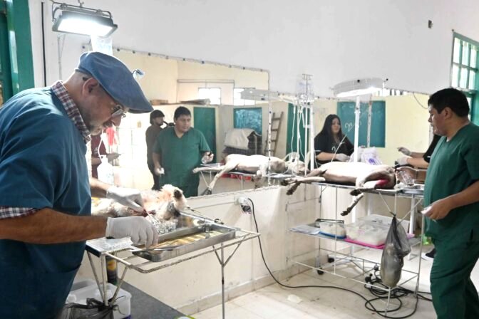 Cronograma de atención en Zoonosis 