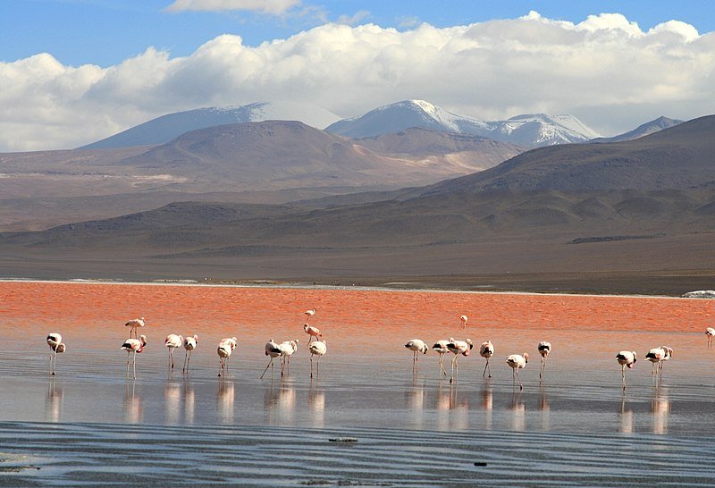 Realizarán un festival en Homenaje al Monumento Natural Laguna de los Pozuelos 