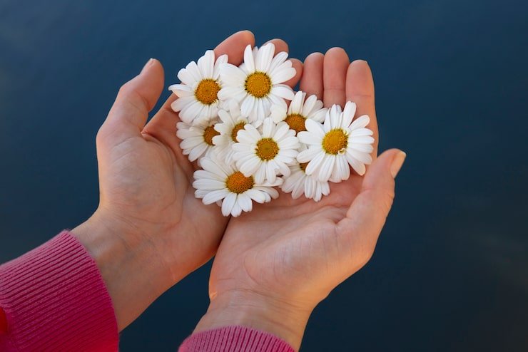 Hoy 11 de enero, Día Mundial del Agradecimiento