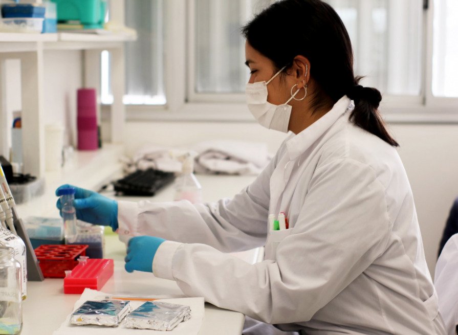 Hoy 11 de febrero, Día Internacional de la Mujer y la Niña en la Ciencia  