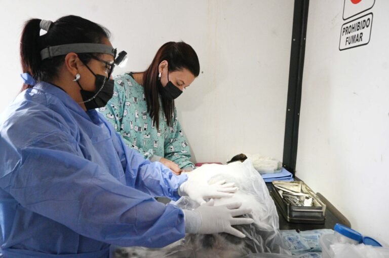 Cronograma semanal de Zoonosis 