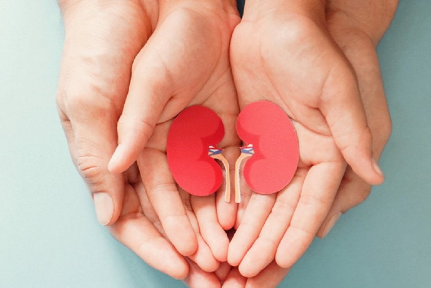 Hoy 9 de marzo, Día Mundial del Riñón