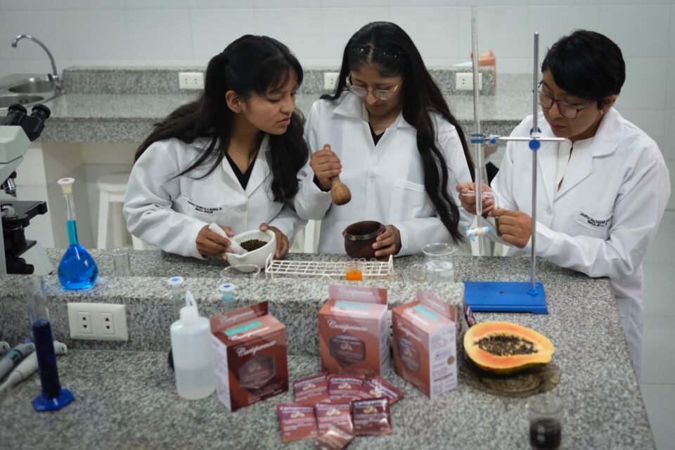 Desarrollaron un anticonceptivo masculino basándose en la papaya 