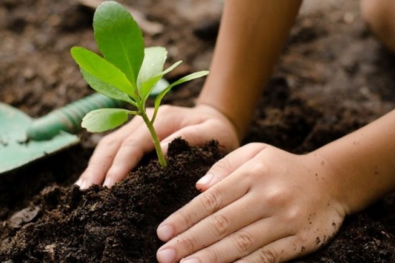 Dictarán un taller sobre el cuidado del suelo para huertas 