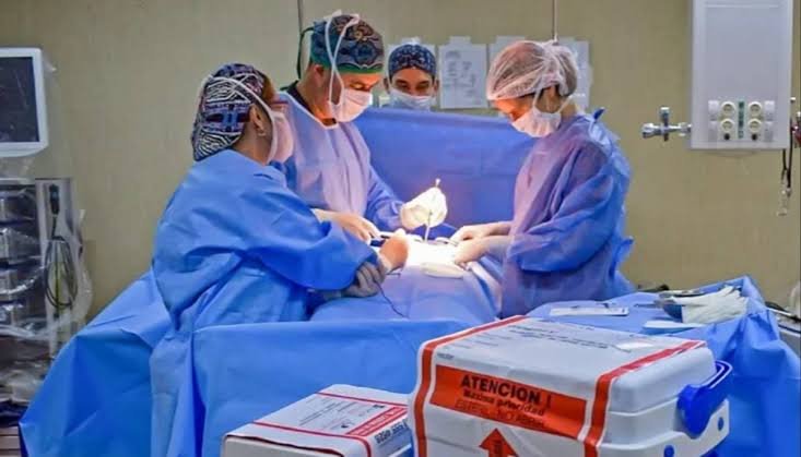 Jujuy alcanzó 25 procedimientos de ablación