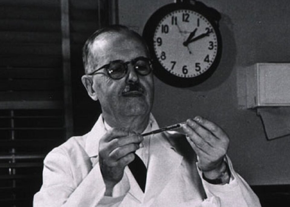 Hoy 10 de abril, Día Mundial de la Ciencia y la Tecnología  