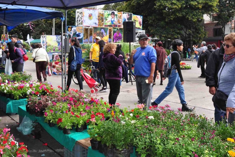 Tránsito: Corte por la muestra “La Flor más Bella” 