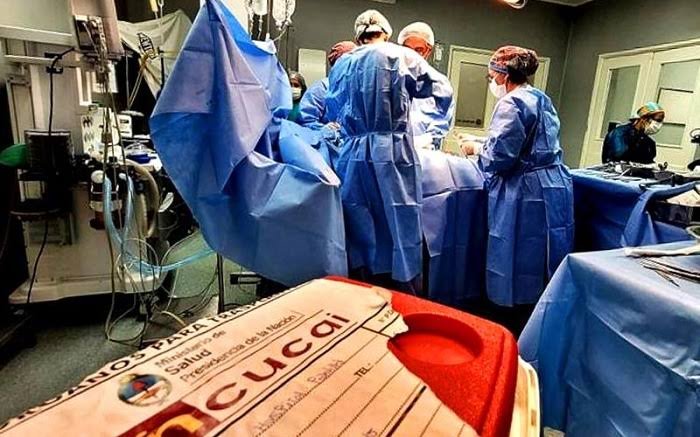 Se realizaron 31 procedimientos durante este año 