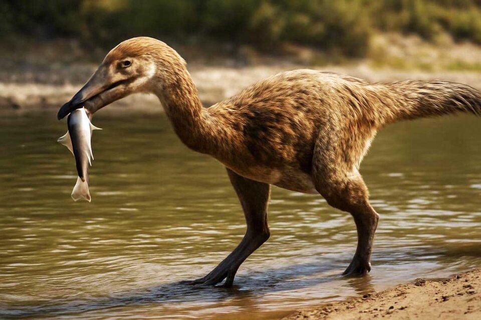 Descubrieron un nuevo dinosaurio en Santa Cruz 