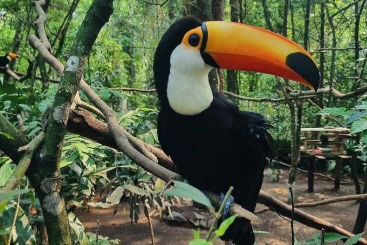 Realizarán una nueva edición del ciclo “Ecos del Parque” 