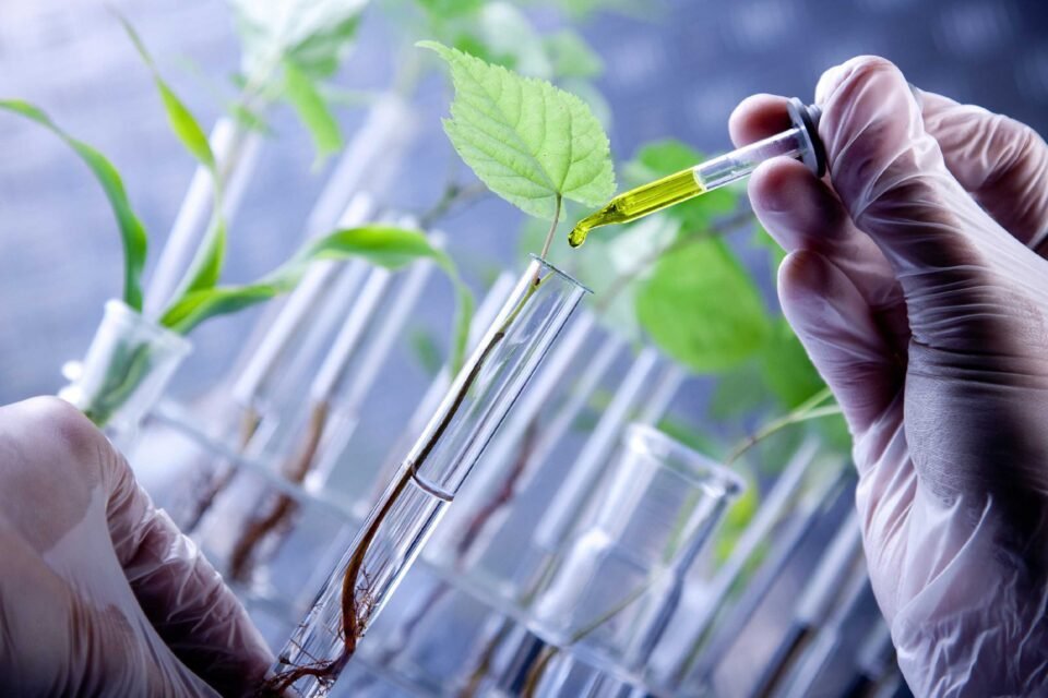 Hoy 16 de junio, Día Internacional de la Biotecnología