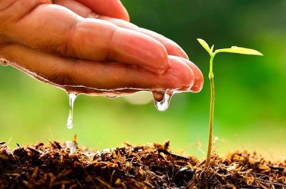 Hoy 5 de junio, Día Mundial del Medio Ambiente 