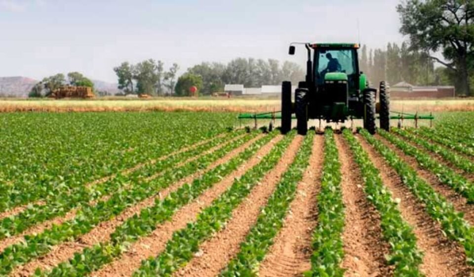 Hoy 2 de julio, Día de la Agricultura Nacional