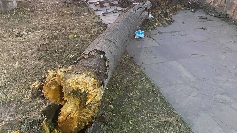 El viento provocó voladura de techos y cortes de luz en Jujuy