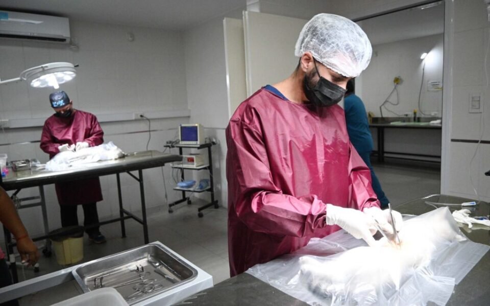 Hoy 6 de julio, Día Mundial de la Zoonosis