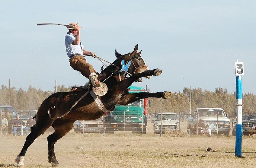 Realizarán un Festival de Doma en La Quiaca 