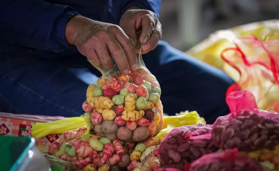 Nueva edición de la Feria Campesina Pucará 