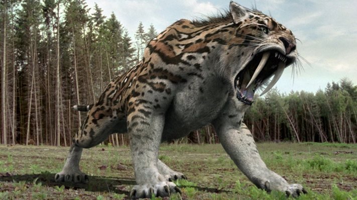 Encontraron fósiles de un depredador “dientes de sable” 