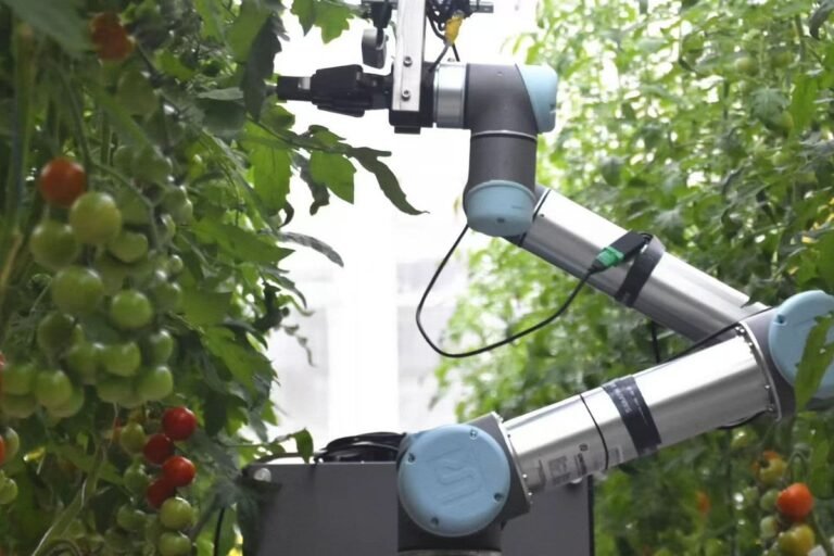 Crearon un robot humanoide polinizador  