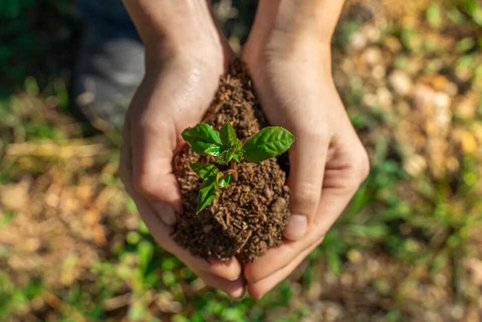 Hoy 27 de septiembre, Día de la Conciencia Ambiental