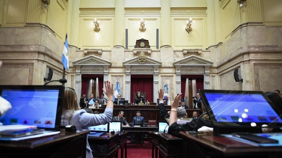 El Senado aprobó la reforma de Salud Mental