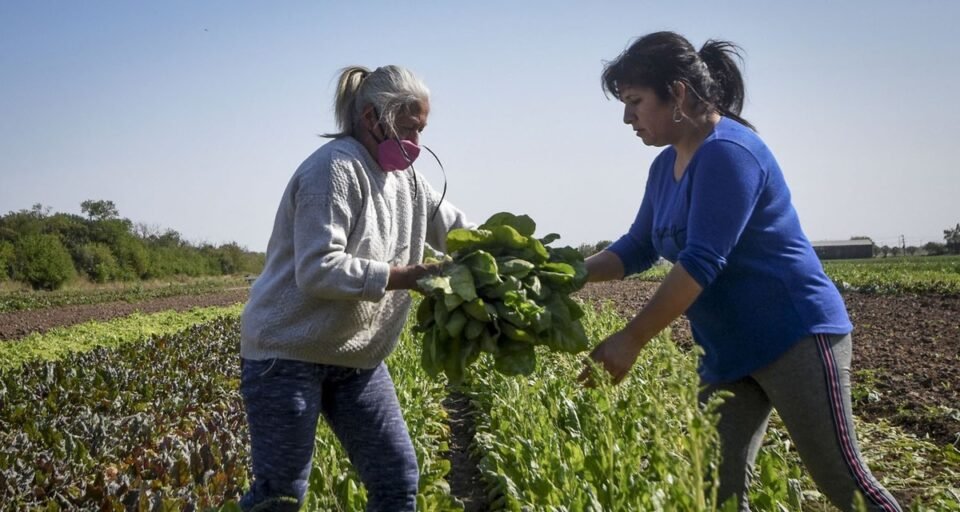 Hoy 15 de octubre Día Internacional de las Mujeres Rurales
