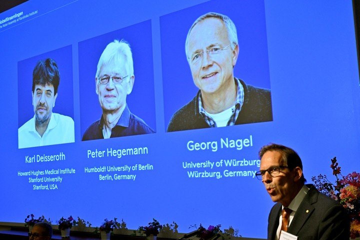 El premio Nobel de Medicina fue otorgado a tres expertos